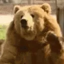 aBearWave
