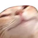 happycat