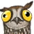 oxyofDerpA
