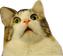 WutFace Discord emoji