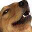 hhhehehehe Discord emoji