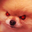 angrypaulo Discord emoji