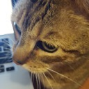 :william: Discord Emote