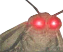 triggeredMoth