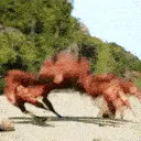 crabrave crabrave