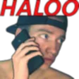 roarrHALOO