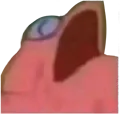 patnut