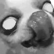 OhYeSpooky