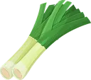 leaks