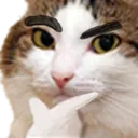 hmmmthink