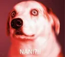 NANI