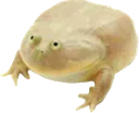 Wednesday