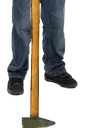 diogeknees