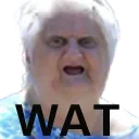watt
