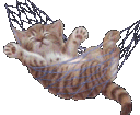 Relaxcat Discord Emoji