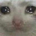 sadcat sadcat