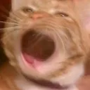 no