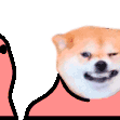 aCehDogeDance Discord Emoji