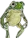 soup