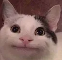 mmm