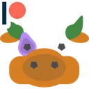 pumookin