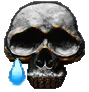 SkullCry
