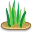 grass