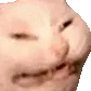 toothlesscat toothlesscat