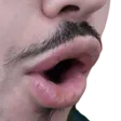scarfPOG scarfPOG