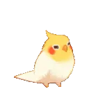 birdjump