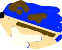 Sonk