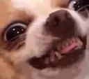 ghehe