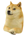doge