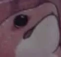 Snek