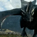drogonroar