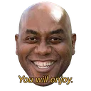 enjoy enjoy