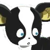 naniggy