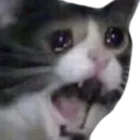 sadhiss
