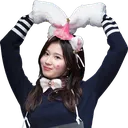 SanaHeart SanaHeart