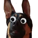 HolyShit HolyShit