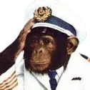 ApeSalute