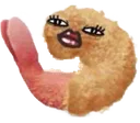 sassyprawn