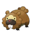 Bidoof