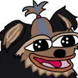 nanOk