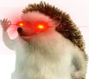 HaHaHyperYES