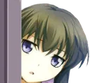 shizukupeek