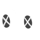 eyesv eyesv