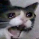 crycat