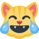 fbjoycat