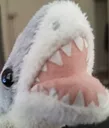 SHARK